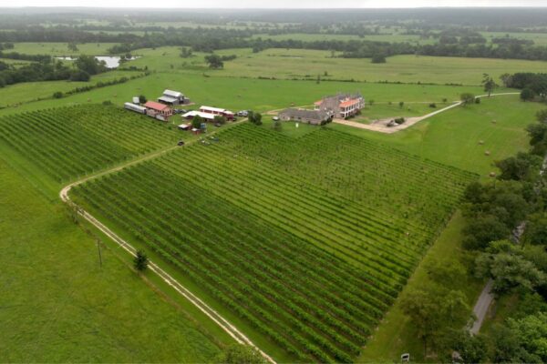 drone view of farm