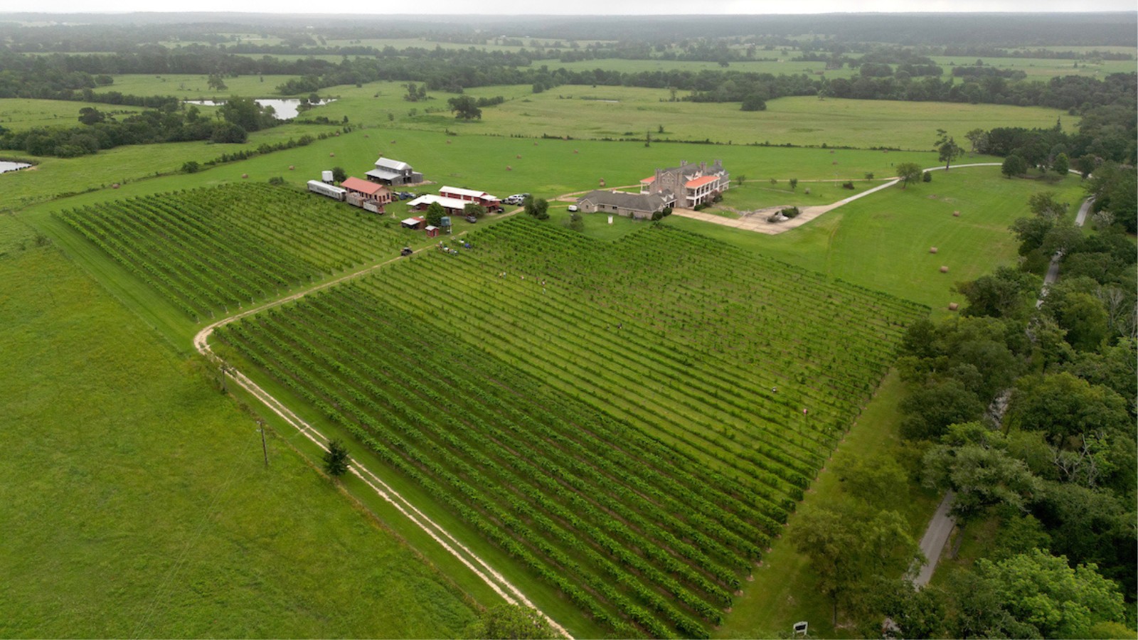 drone view of farm